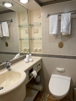 Bathroom in the mini-suite. There is a bathtub to the right with a shower rose on the wall. Great water pressure.