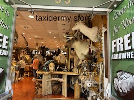 Taxidermy store in Ketchikan