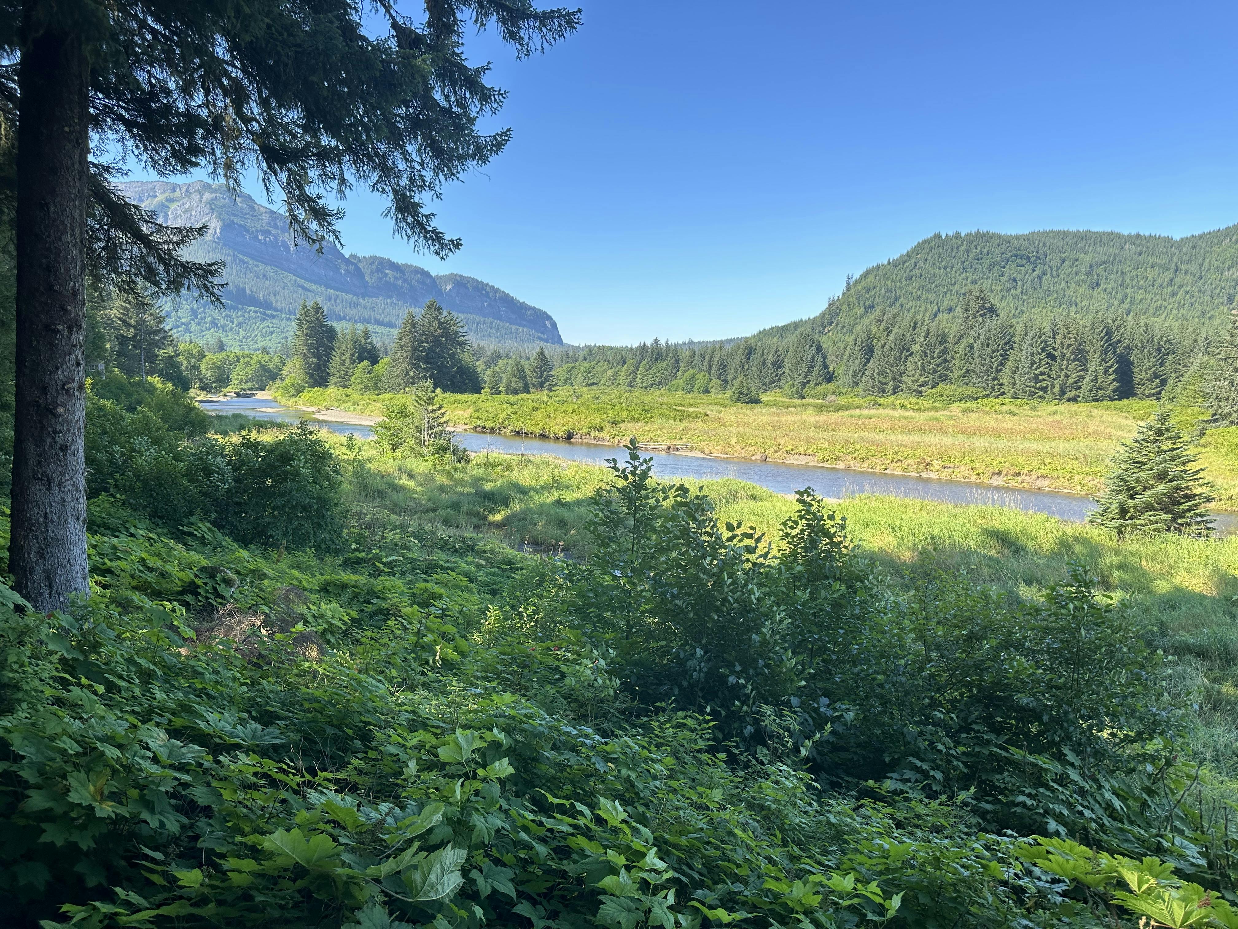 Sydney (Australia) to New Zealand Viking Ocean Viking Orion Cruise