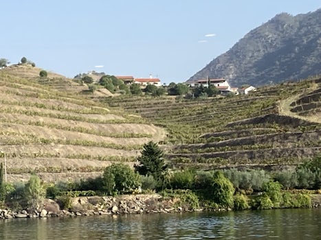 Scene of terraced vineyards along the Douro River in Nothern Portugal