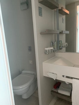 Bathroom, toilet area is so small you have to sit sideways.