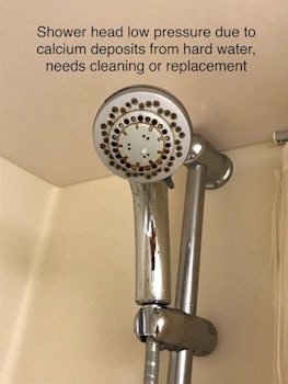 Shower head - very low pressure due to calcium build up, needed cleaning or replacement.