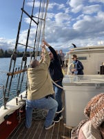 Guests helping sail