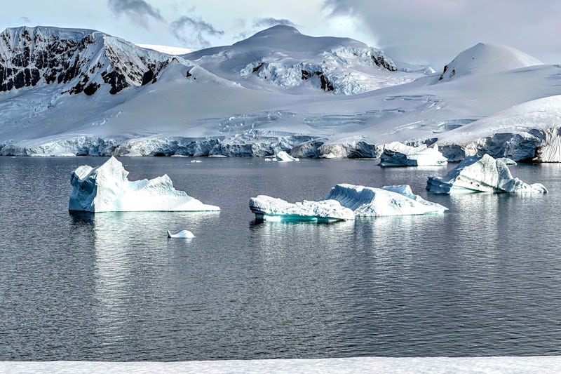 Antarctic scene