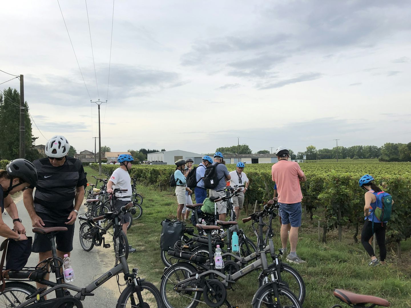Cycling in the Medoc wine region