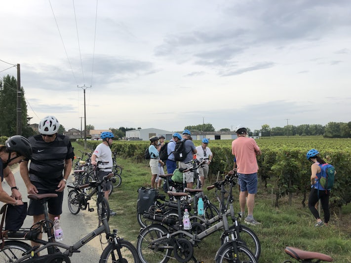 Cycling in the Medoc wine region