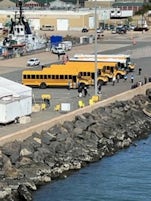 Yellow school busses hired by Seven Sea for shore excursions.