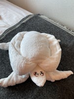 Towel origami in the cabin to bring a big smile to our faces!