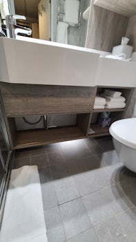 Shelves under bathroom mirror